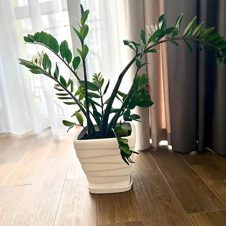 アパート Osapart At Shevchenka 19 Street