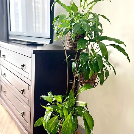 Osapart At Shevchenka 19 Street Apartment *