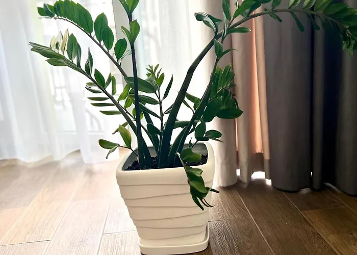 아파트 Osapart At Shevchenka 19 Street