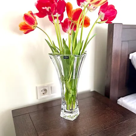 Osapart At Shevchenka 19 Street Апартаменти